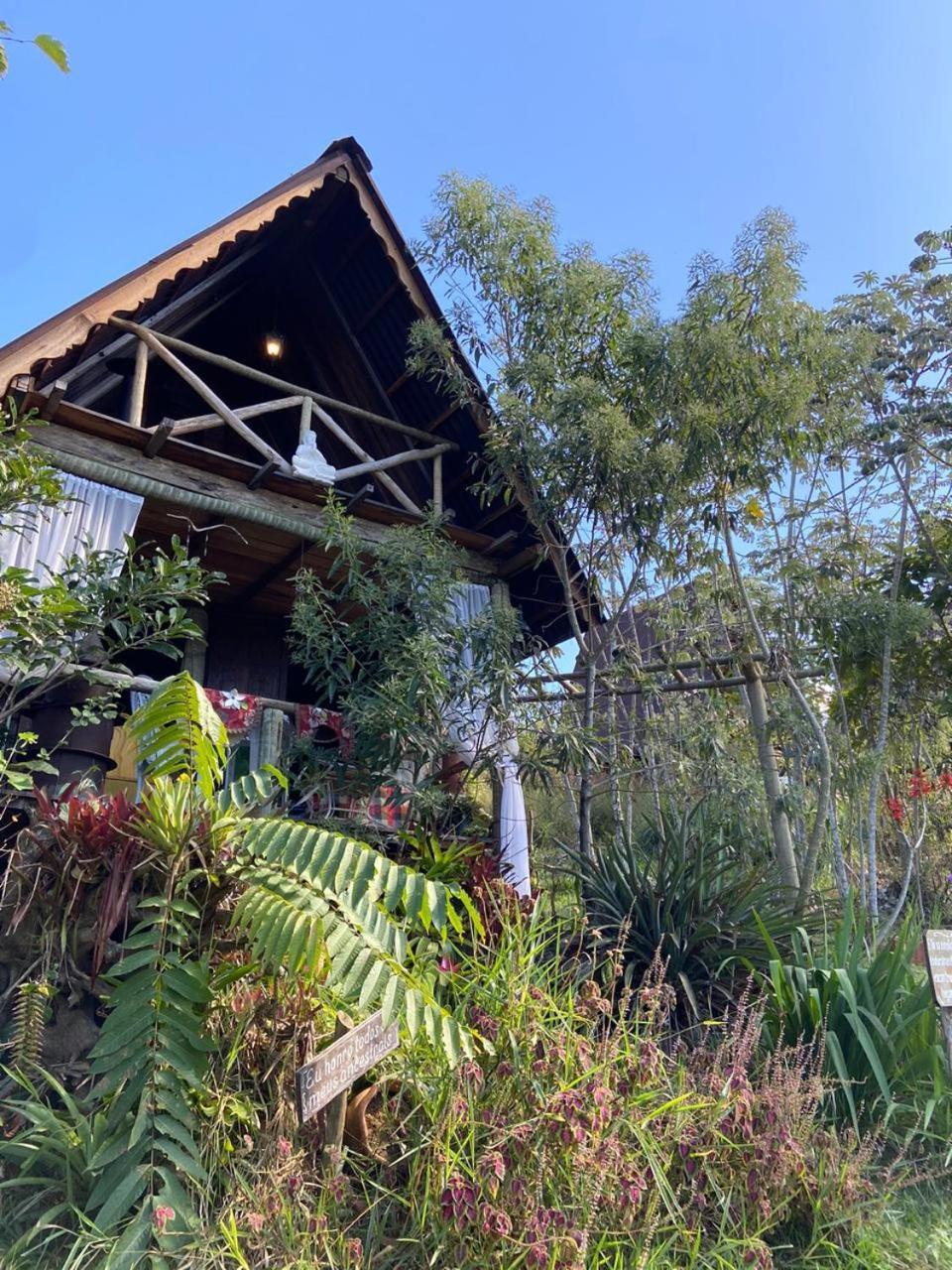 Cabana Aroeira - Reserva Religare Итатиая Стая снимка