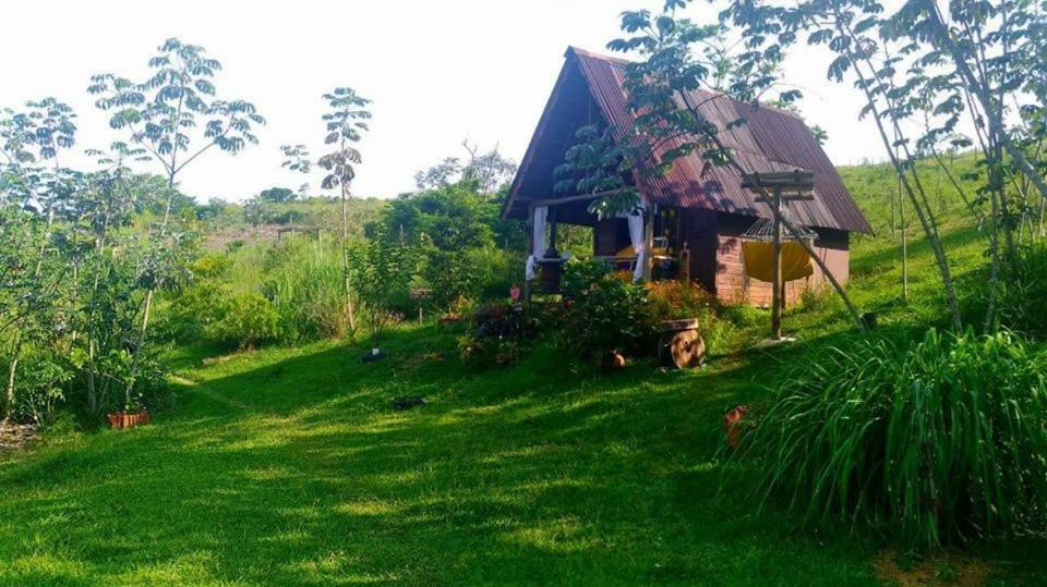 Cabana Aroeira - Reserva Religare Итатиая Екстериор снимка